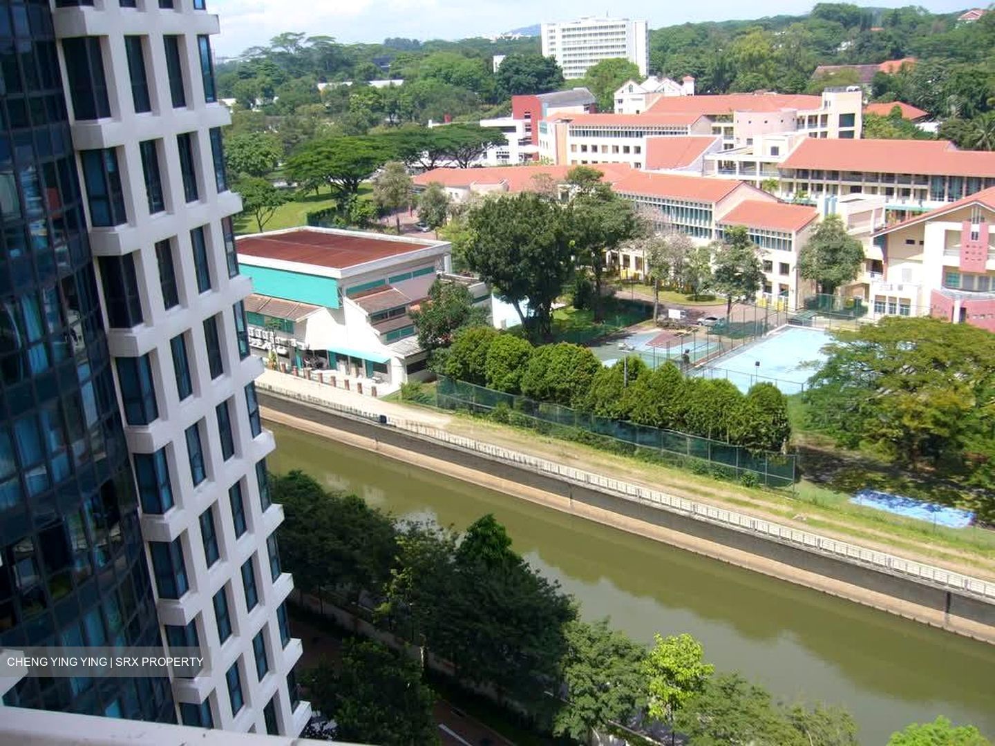 Tanglin View (D3), Condominium #562596111